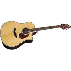 Breedlove Atlas Stage D25/SR Acoustic Electric Guitar