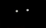 Small size Diamante Crystal Earrings studs