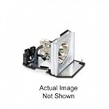 Replacement Lamp - PD100/PD120