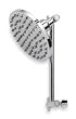Trident 6PB79 Shower Head, Wall Mount