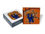 Kentucky Wildcats (Polka Dot) Coaster Set