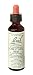 Bach Essence Chestnut 20 Milliliters