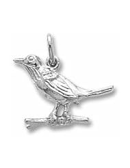 Robin Charm