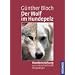 Der Wolf im Hundepelz: Hundeerziehung aus unterschiedlichen Perspektiven