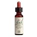 Walnut 20 ml by Bach Flower Remedies / 20 mL
