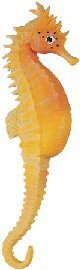 Childrens Toyshop  Toys : Yellow Seahorse, Wild Safari