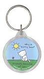 Evilkid - Why is Kitty Sad? Probably Because of You - Acrylic Keychain