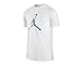 Jordan Mens Cool Grey Retro 11 Jumpman Slick T-Shirt Style# 398422-100