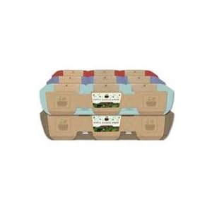 SIMPLE GARDEN JUNIOR 3PK ASSORTED PLANTER by 