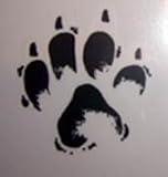 Hardley Dangerous Illusions Cat Print Stickers