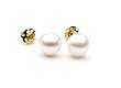 AAA Quality Round 6-6.5mm Akoya SaltWater cultured White Pearl Earrings with 14K Yellow Gold Mount