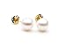 AAA Quality Round 6-6.5mm Akoya SaltWater cultured White Pearl Earrings with 14K Yellow Gold Mount