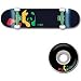 Enjoi Rasta Panda Complete
