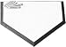 Champion Sports Sav-A-Leg Stake Down Home Plate