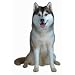 Grey Siberian Husky Dog Die-Cut Photographic Magnet