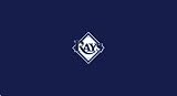 Tampa Bay Rays Pool Table Billiard Cloth