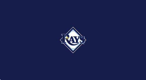 Tampa Bay Rays Pool Table Billiard Cloth