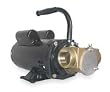 Dayton 3ACD4 Pump, Flexible Impeller, 1 1/2 HP, 115/230V