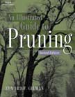 Illustrated Guide to Pruning