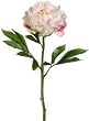 Club Pack of 12 Artificial Pinkish White Peony Floral Sprays 22"