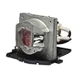 Replacement Lamp for EP761 and TX761