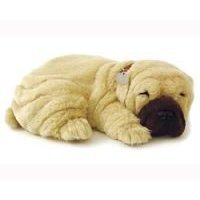 Perfect Petzzz Shar Pei by Perfect Petzzz