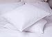 Trillium Polyester Standard Pillow