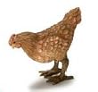 Dollhouse Miniature Pecking Brown Rooster