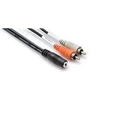 10Ft Stereo Y-Cable 3.5Mm Trsf To Dual Rca With White Earbud Headphones