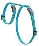 Lupine Small Dog Roman Style Harness - Sea Ponies 12-20