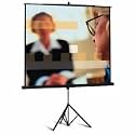 Projecta Professional 160 cm 1:1