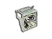 Epson V13H010L16 Replacement Lamp & Air Filter