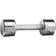 Chrome Dumbbell 10 lb