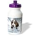 Dogs Basset Hound - Basset Hound - Water Bottles