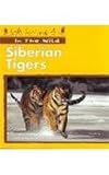 Siberian Tigers (In the Wild)