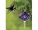 Bird Brain - Precious Hummingbird Feeder- Purple