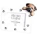  - Ceramic Pug Frame2008