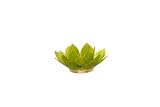 Gemstone Collection-Natural Shell Tea Light Holder Small Lotus - Peridot Green