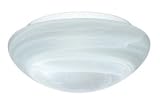 Besa Lighting 911152C Flush Mount Ceiling Light
