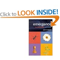 Emergence: From Chaos to Order