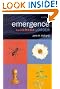 Emergence: From Chaos...