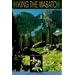 Hiking The Wasatch