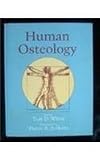 Human osteology