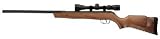 HUNTER SPORT air rifle by Ammunition