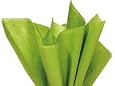 Moss Oasis Green Bulk Tissue Paper 15" x 20" - 100 Sheets
