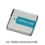 Power2000 BC-G10 Replacement 3.7v, 1200mAh Lithium Ion Battery for Panasonic BC-G10 Digital Camera Battery