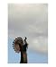 Pray for rain Emerging Artists Photographic Poster Print by Justin Folger, 16x20