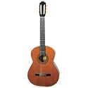 Artista Flamenco Classical Guitar Spanish