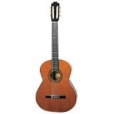 Artista Flamenco Classical Guitar Spanish