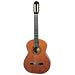 Artista Flamenco Classical Guitar Spanish